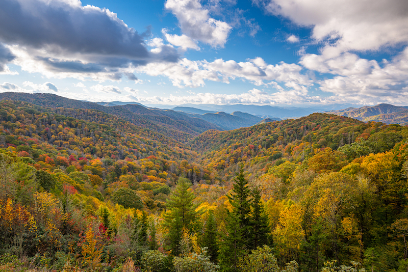 National Parks to Visit in April and May: Great Smoky Mountains National Park
