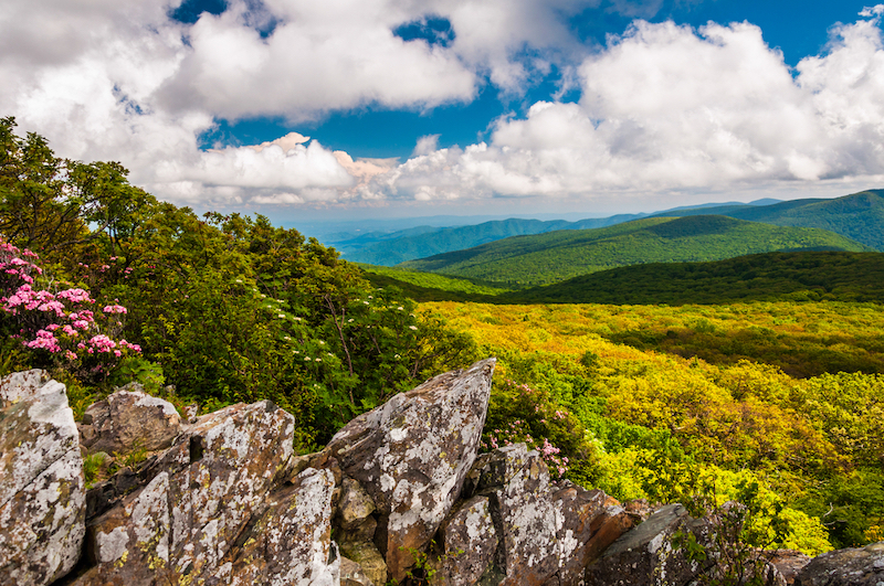 National Parks to Visit in April and May: Shenandoah National Park