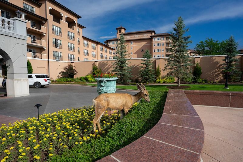 The Broadmoor in Colorado Springs