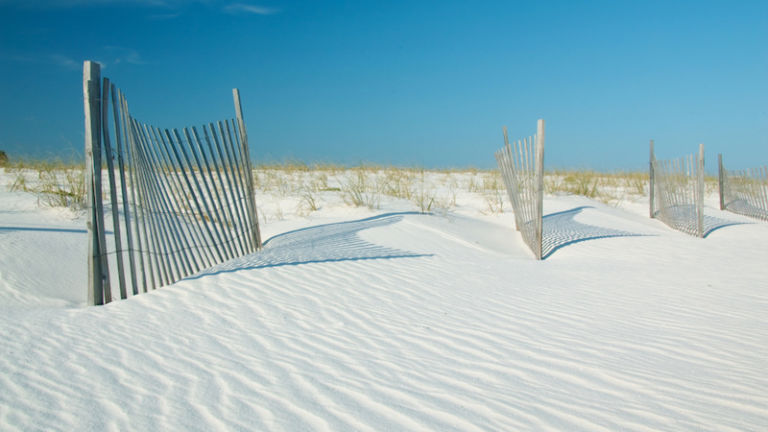 Sand dunes in Gulf State Park, Gulf Shores, Alabama. Photo via Shutterstock.