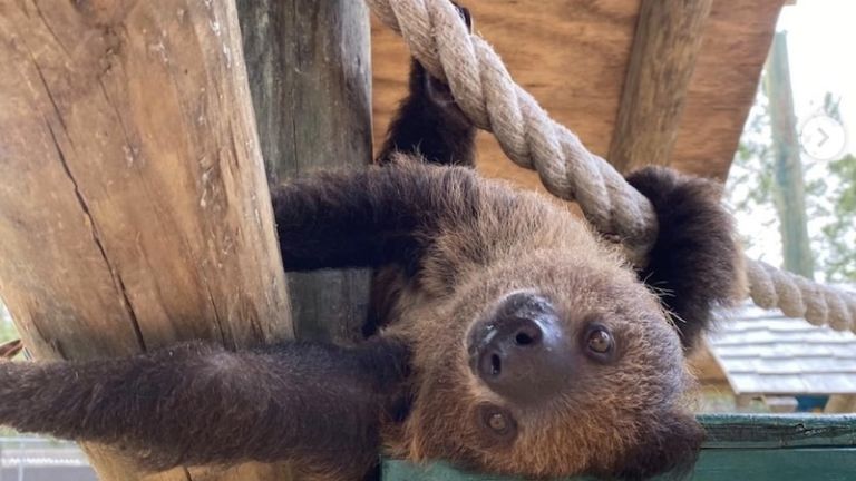 Alabama Gulf Coast Zoo. Photo courtesy of the zoo.