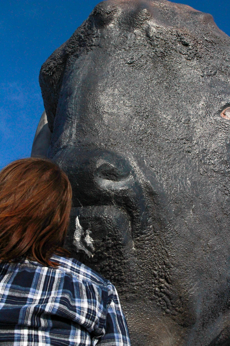 World's Largest Buffalo Jamestown, North Dakota. Photo via Shutterstock.