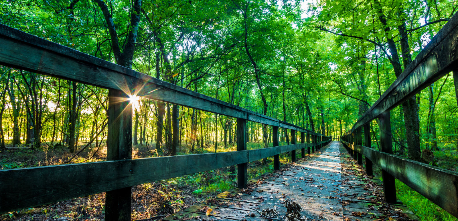 Tupelo, Mississippi. Photo via Shutterstock.