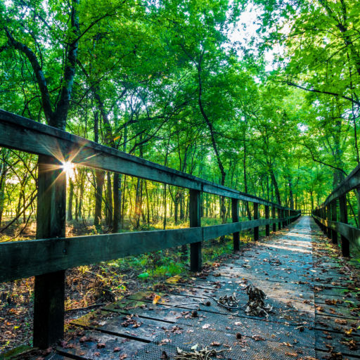 Tupelo, Mississippi. Photo via Shutterstock.