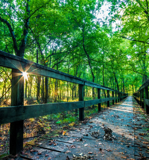 Tupelo, Mississippi. Photo via Shutterstock.