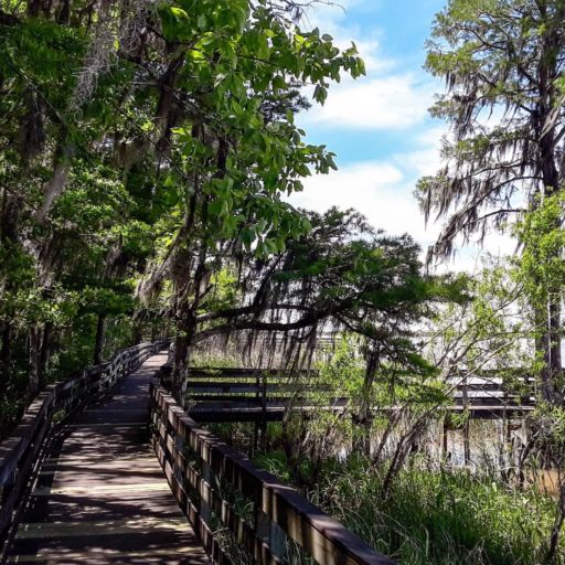 Tensaw River Delta at Historic Blakeley State Park in Spanish Fort, Alabama