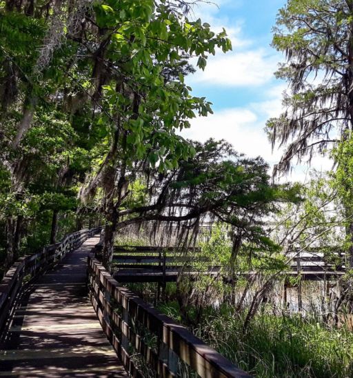 Tensaw River Delta at Historic Blakeley State Park in Spanish Fort, Alabama