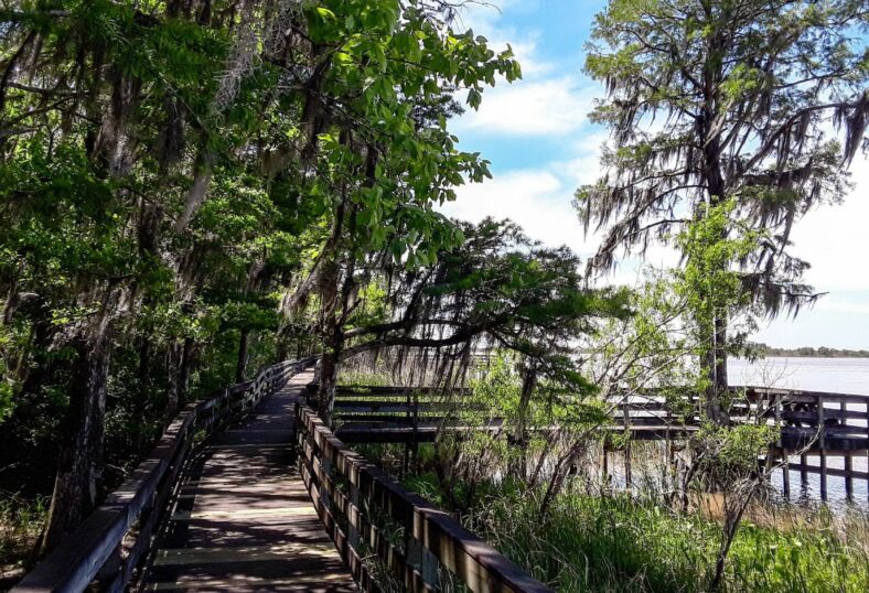 Tensaw River Delta at Historic Blakeley State Park in Spanish Fort, Alabama
