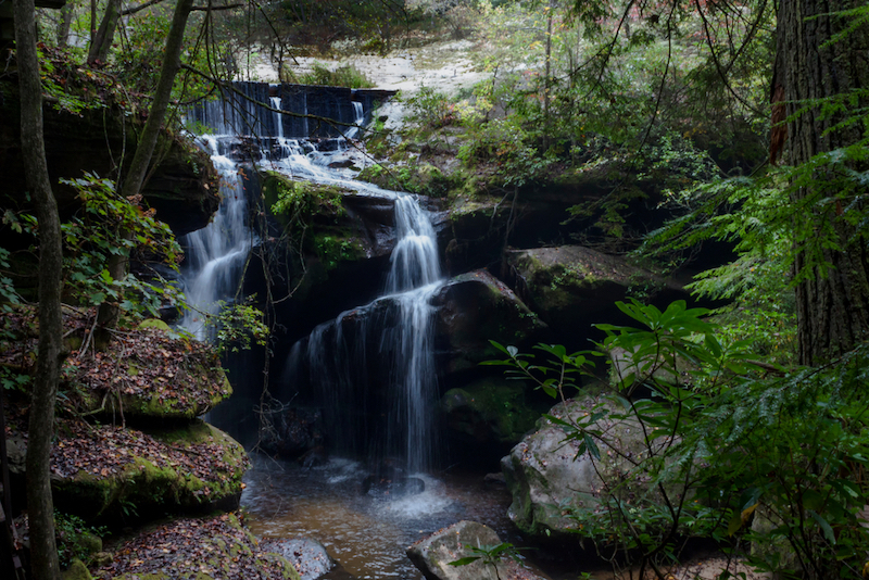 Top Hikes in Alabama