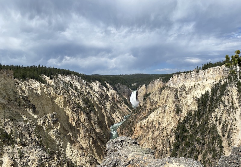 Grand Canyon of Yellowstone.  Photo by Claire HarnEnz.