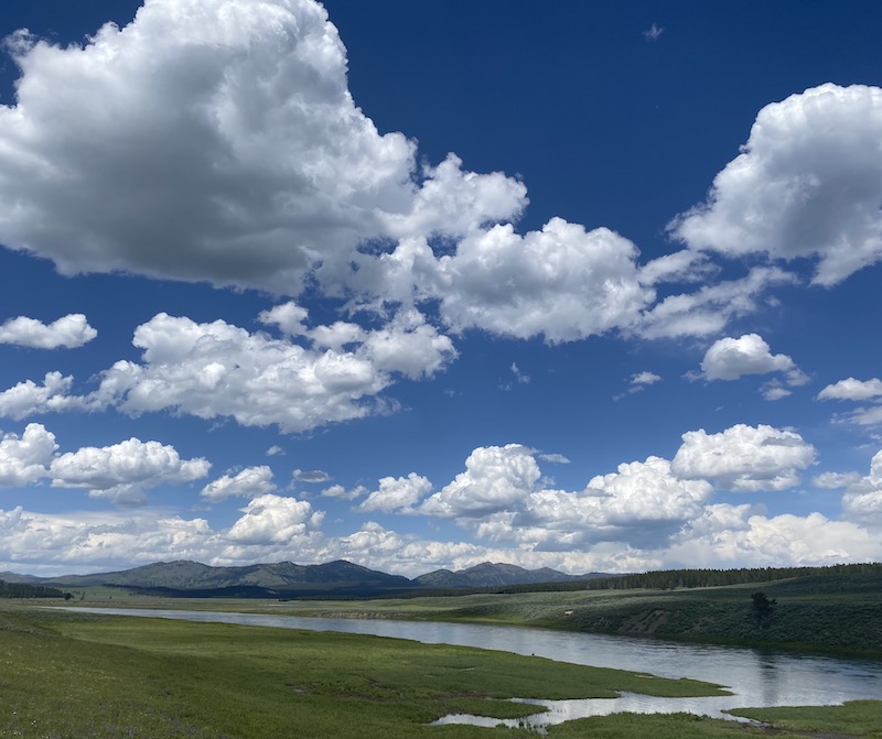 Hayden Valley. Photo by Claire HarnEnz.