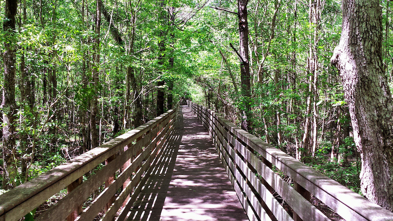 Top Hikes in Alabama