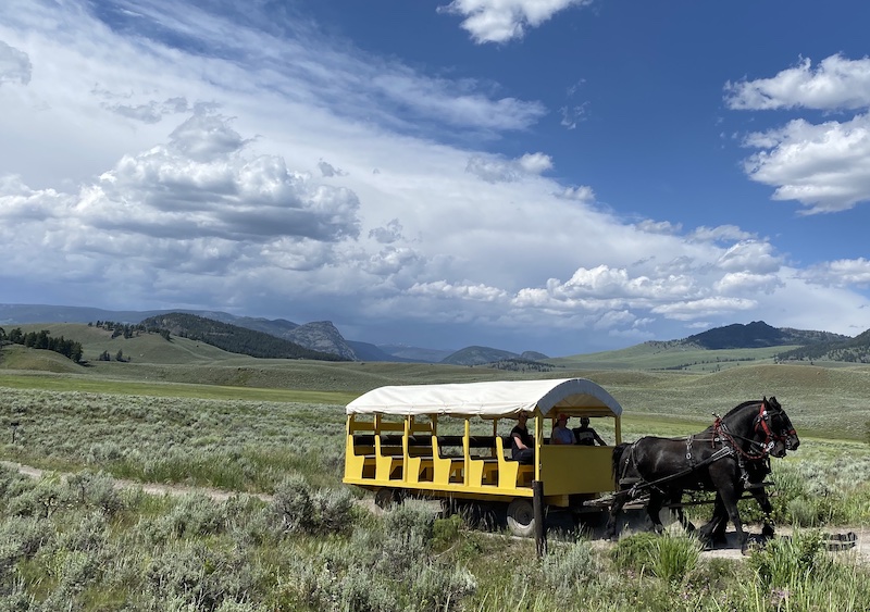 Roosevelt ride.  Photo by Claire HarnEnz.