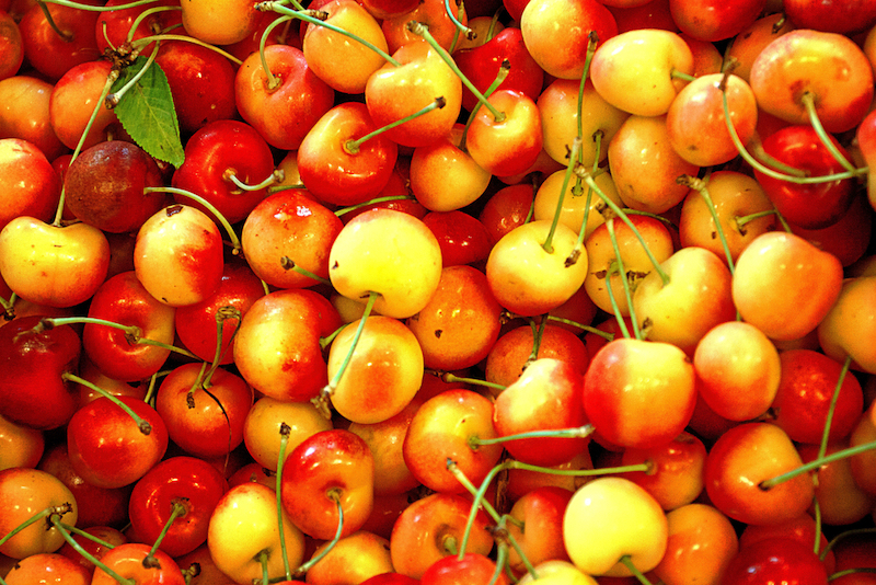 A pile of rainier cherries are  organically grown blend of Bing and Van cherries. They are a symbol of Washington summers. Background.