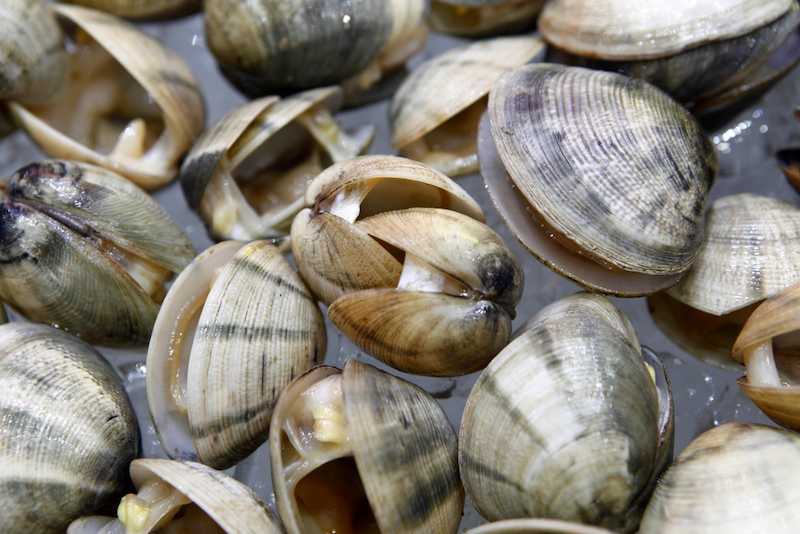 Notable Regional Foods of the Pacific Northwest: Bivalves.