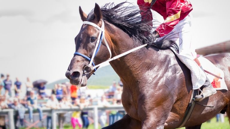 Kentucky Derby. Photo via Shutterstock.