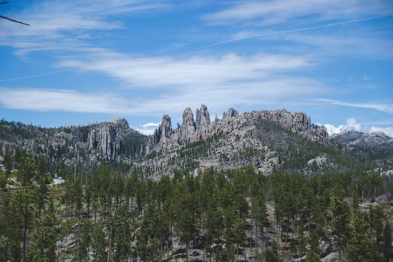 Rocky hills with green pine trees in Black Hills South Dakota. Photo by Shutterstock.