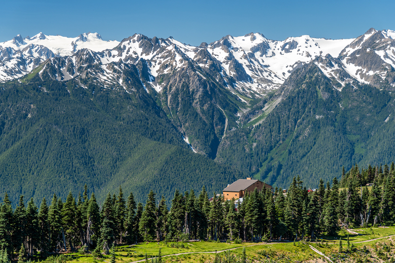 The Hurricane Ridge viewpoint of Olympic National park in Washington. Photo by Shutterstock.