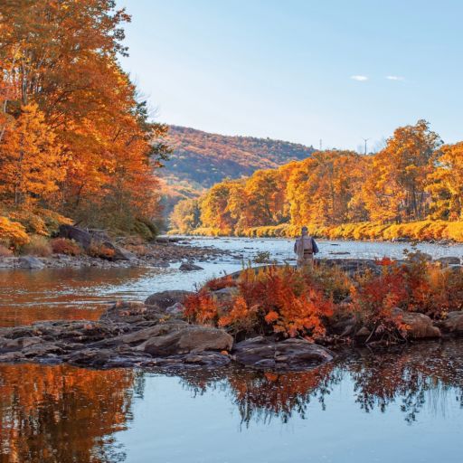 Berkshires, Massachusetts. Photo by Shutterstock.