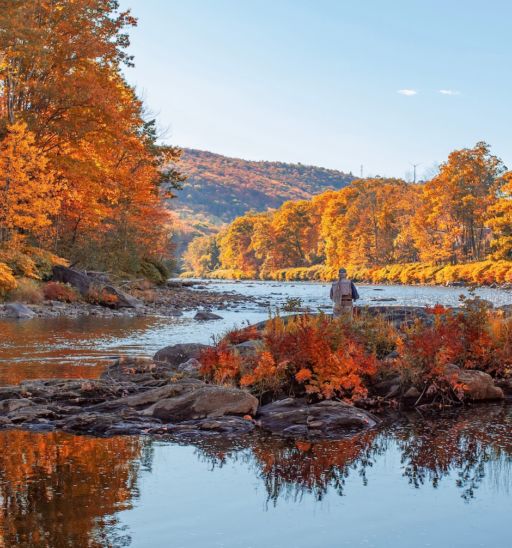 Berkshires, Massachusetts. Photo by Shutterstock.