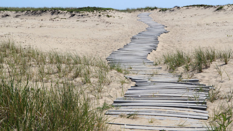 Chappaquiddick Island