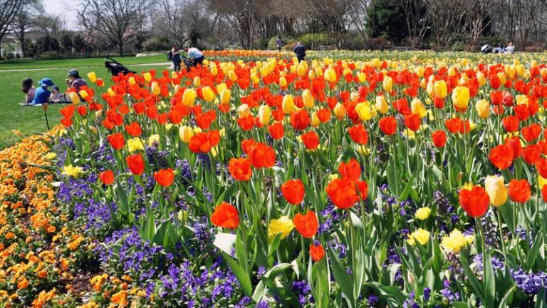 The Dallas Arboretum. Photo by Shutterstock.