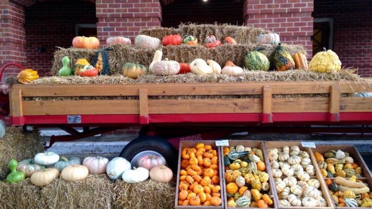 Mississippi Farmers Market