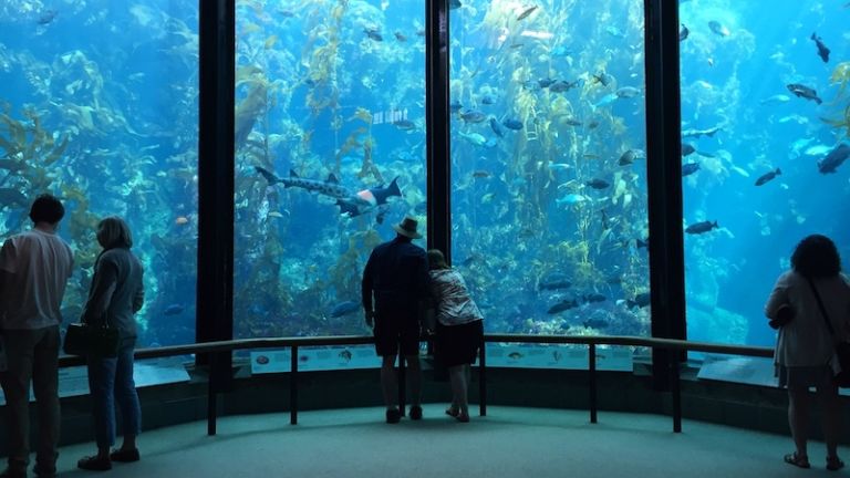 Monterey Bay Aquarium. Photo by Shutterstock.