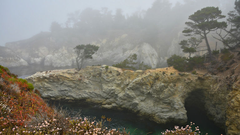 Point Lobos State Natural Reserve