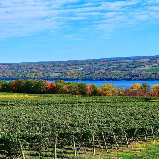 Seneca Lake, N.Y.