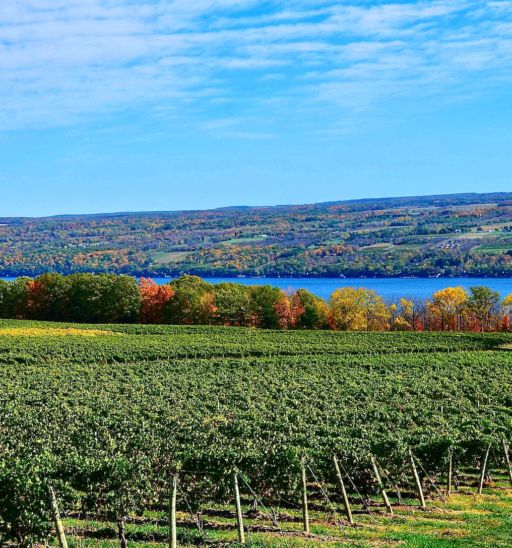 Seneca Lake, N.Y.