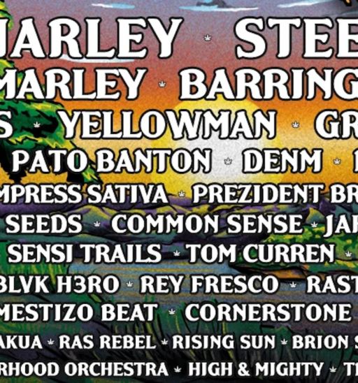 Reggae on the Mountain