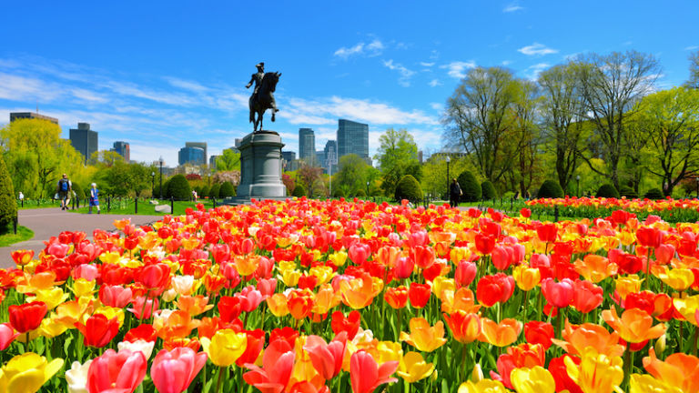 Boston Public Garden in Boston, Massachusetts. Photo via Shutterstock.
