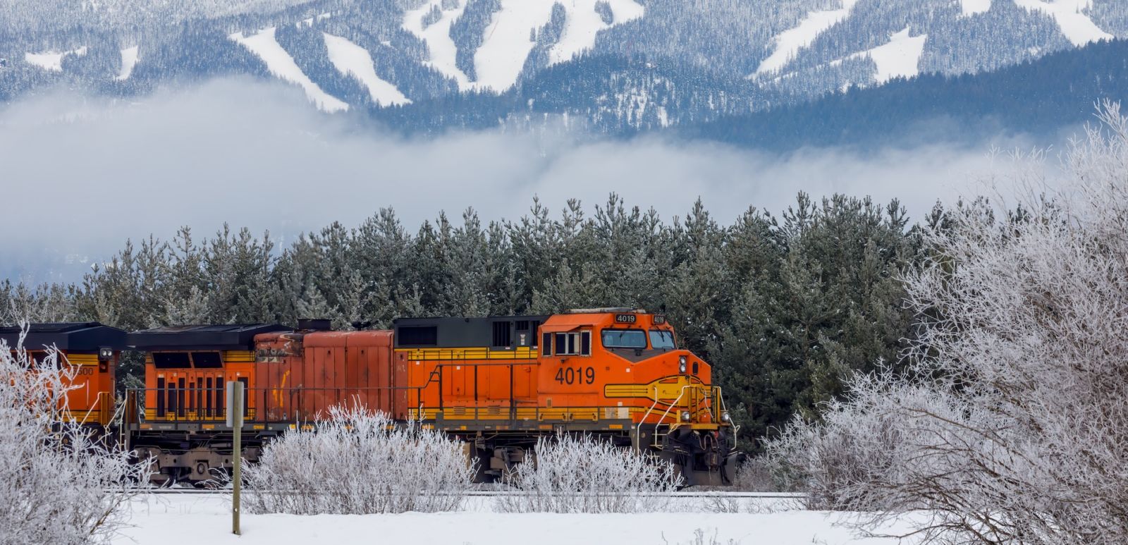 Train in Whitefish, Montana. Photo via Shutterstock.