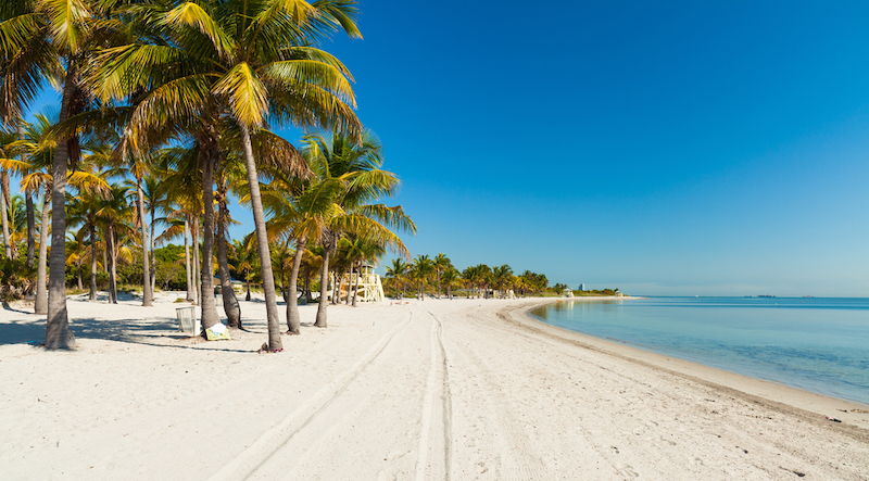 Best Beaches in Miami: Crandon Park