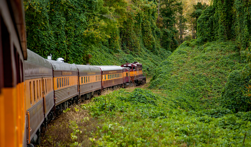 Great Smoky Mountains Railroad Scenic Train