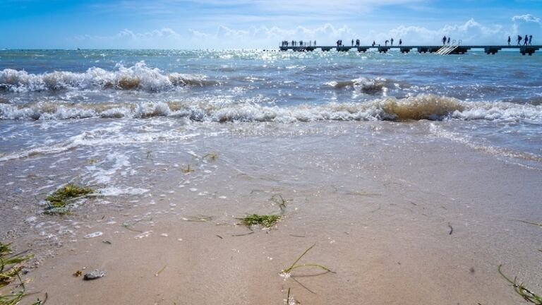 Higgs Memorial Park Beach