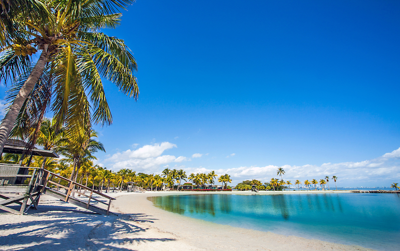 Best Beaches in Miami: Matheson Hammock Park