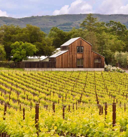 [CLOSED] CHANCE TO WIN: 3-Night Sonoma County Wine Country Escape 