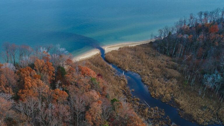 America's Underrated Beaches: Calvert Cliffs State Park, Md.