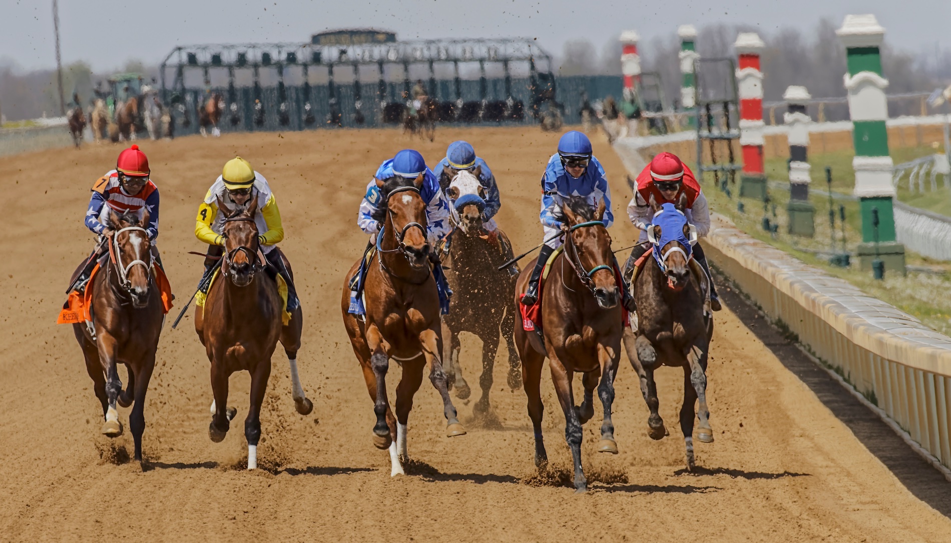 What It's Like A Day at the Kentucky Horse Races Fifty Grande