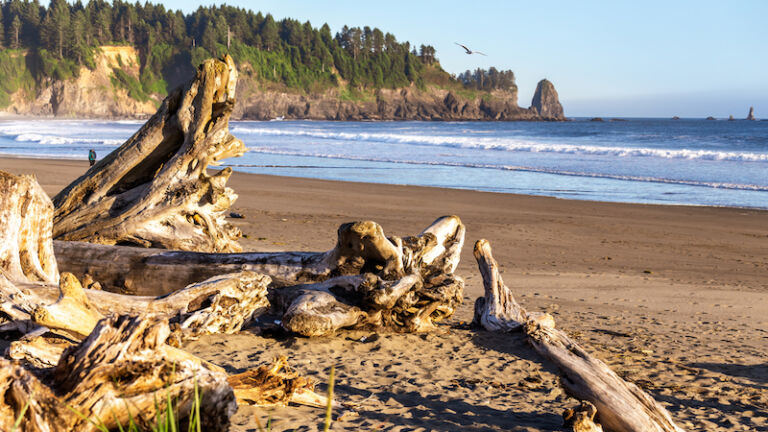 America's Underrated Beaches: Rialto Beach, Wash.