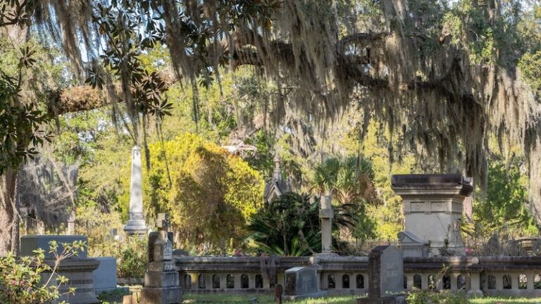 Bonaventure Cemetery. Photo via Shutterstock.