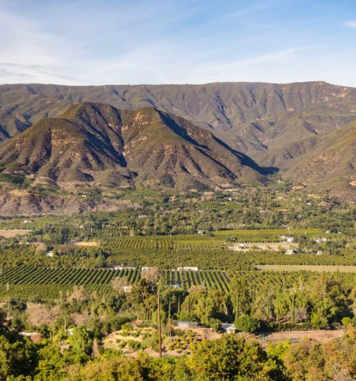 Ojai, California. Photo via Shutterstock.