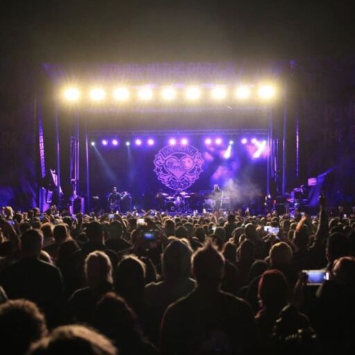 Punk in the Park