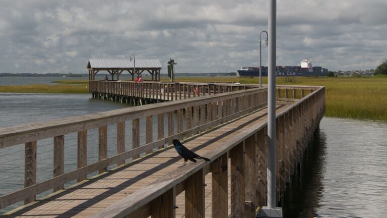 Shem Creek. Photo via Shutterstock.