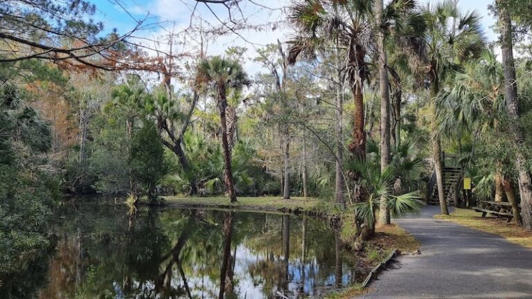 Mt. Pleasant’s Palmetto Islands County Park