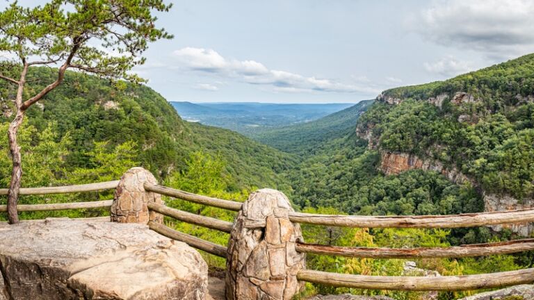 View of Cloudland Canyon State Park south of Lookout Mountain, Georgia near Chattanooga, Tennessee. Photo via Shutterstock.