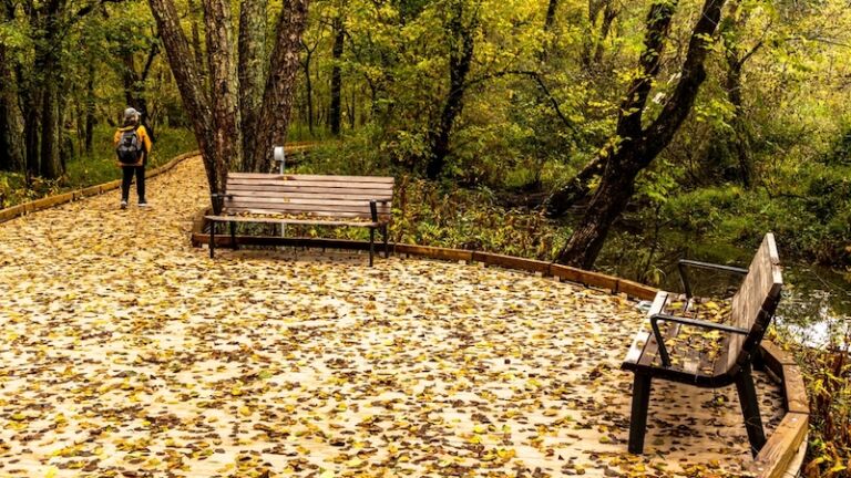 A hiker walking a trail in early fall in the forest of Chatahootchee Nature Reserve in Sandy Spring, Georgia. Photo via Shutterstock.