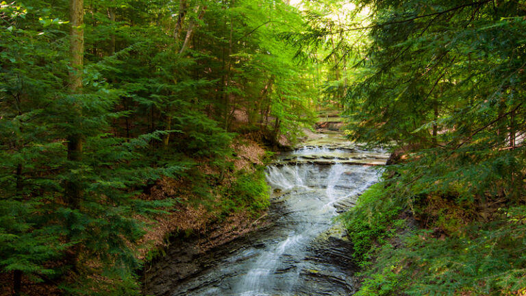 Ohio's Bridalveil Falls in the Bedford Reservation Metropark in early morning light. Photo via Shutterstock.